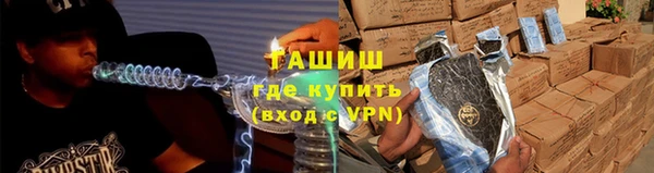 сатива Армянск