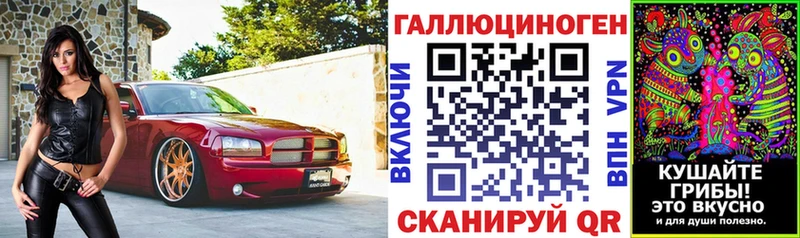 Галлюциногенные грибы Psilocybe Славгород