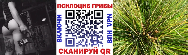 купить наркотик  Славгород  Галлюциногенные грибы Magic Shrooms 